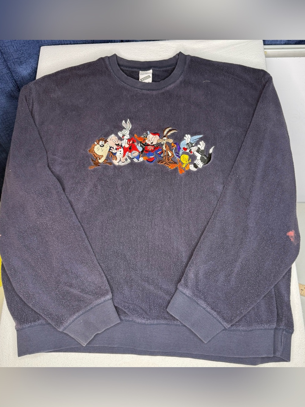 Warner Bros. Navy Crewneck Sweatshirt with Embroidered Looney Tunes
